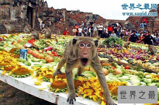 世界十大最脏的节日,200万人参加韩国泥浆节