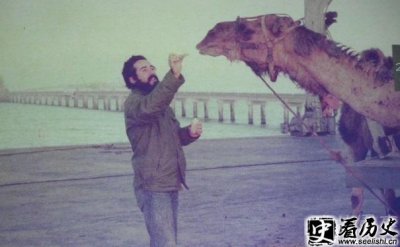 ​西班牙潜水工程师荷西是谁 他跟三毛是什么关系