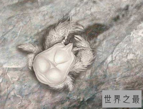 世界上最奇特的螃蟹,雪人蟹