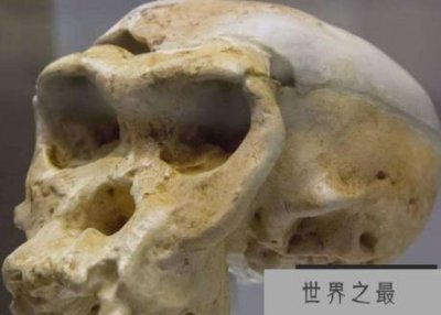 ​研究人员发现,已知的第一批海啸受害者证实了6000年前的死亡