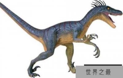 ​桑塔纳盗龙：南美洲小型食肉恐龙，体长2米（早白垩世恐龙）