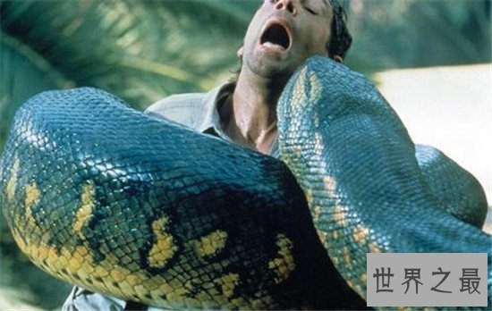 亚马逊巨蟒,地球上体型最大的巨型蛇类(村民亲眼目睹50米巨蟒)
