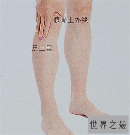 足三里怎么找?厉害了大兄弟!