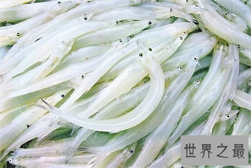 银鱼的做法大全,不仅增强免疫力还能补肾润肺