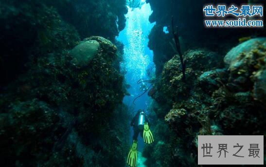 神秘的海上天坑伯利兹大蓝洞,已存在1亿3000年