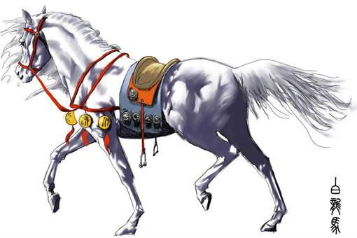 龙在《西游记》里为什么地位不高?