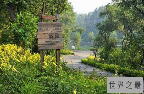 中国最美驿站,小辛码头(自然与人工结合美景)