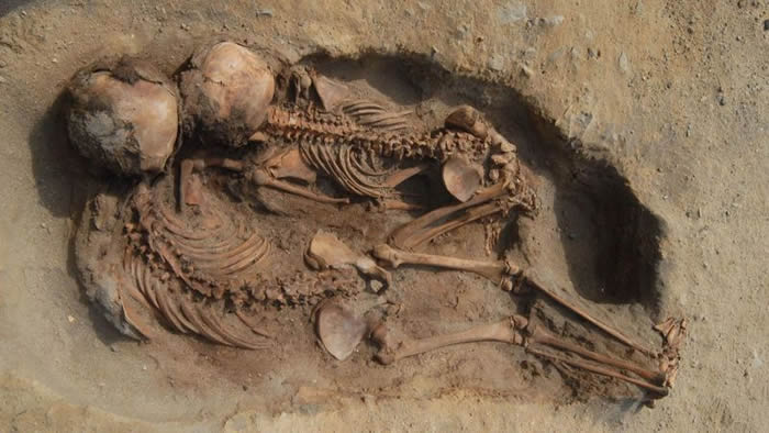 美洲最大儿童献祭遗址:秘鲁发现古代奇穆王国大规模献祭遗址 包括137具儿童骸骨