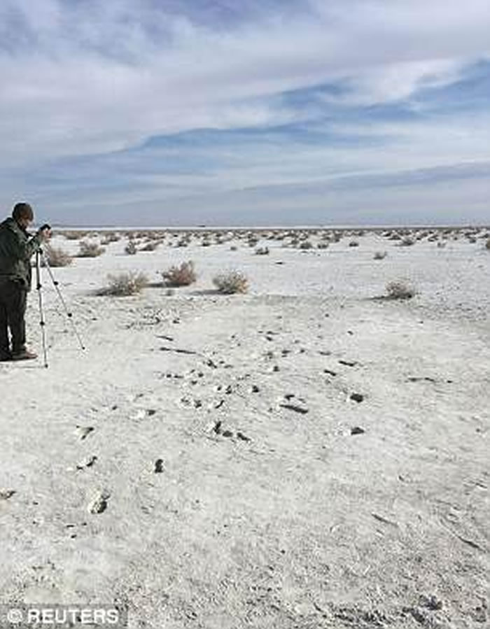 除了追踪树懒的人类踪迹之外,还有更多的人类踪迹。如图所示,在新墨西哥州白沙国家纪念碑可以看到两个远古人类的足迹化石。