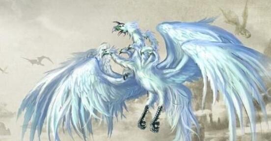 网络配图 网络配图