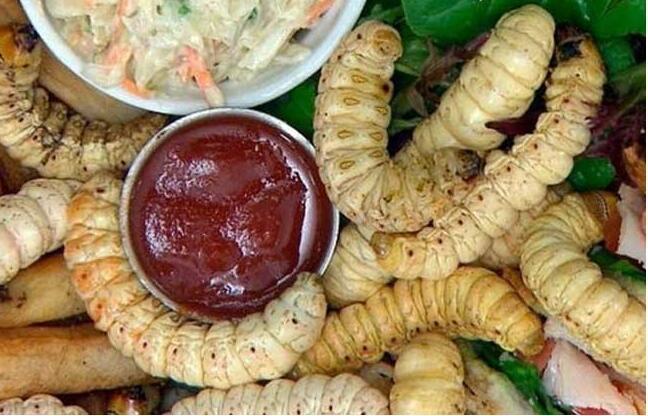 探秘世界上最奇葩的十种食物:日本蟑螂汤恶心至极 2