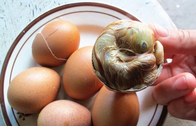 探秘世界上最奇葩的十种食物:日本蟑螂汤恶心至极 3