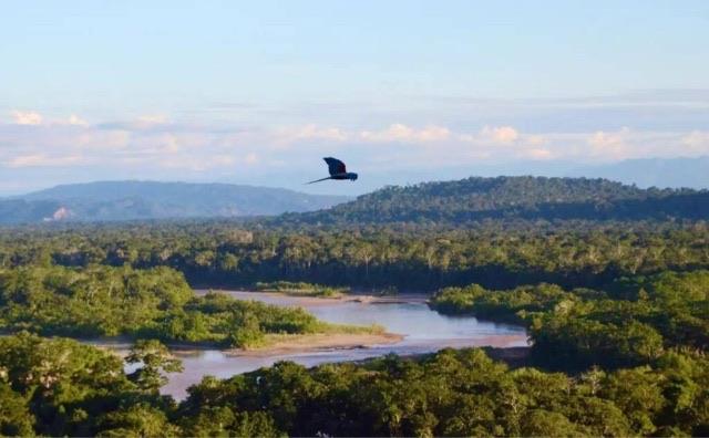 探秘地球上最危险的六个自然区域 世界上最危险的地方在哪 2