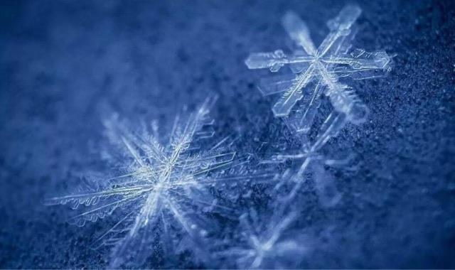 探秘绝对零度是什么概念?真的意味着生命的终结吗? 1