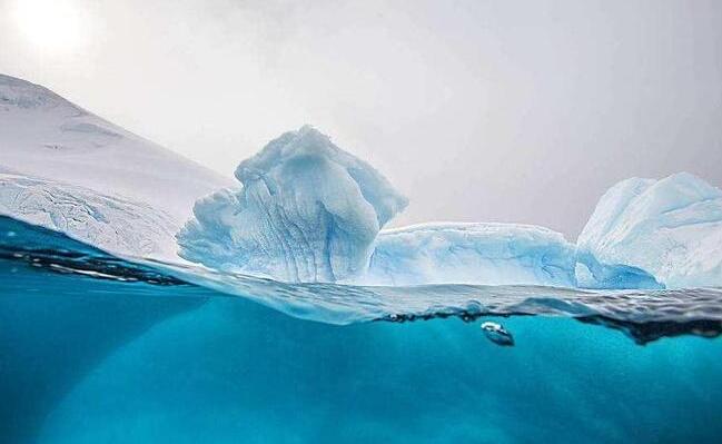 探秘绝对零度是什么概念?真的意味着生命的终结吗? 4