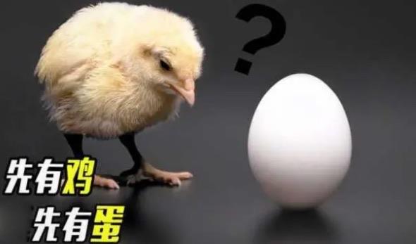 探秘先有鸡还是先有蛋呢(科学家们已给出答案) 1