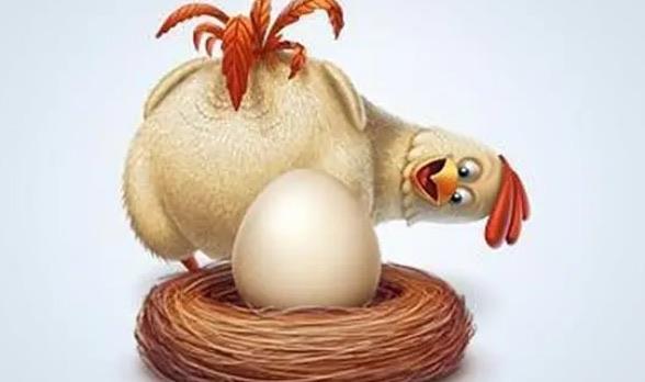 探秘先有鸡还是先有蛋呢(科学家们已给出答案) 2