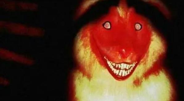 探秘微笑狗到底怎么来的(微笑狗事件的具体事例) 2