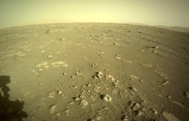 探秘火星上种植树木可释放氧气 改善火星的环境(成宜居星球) 3