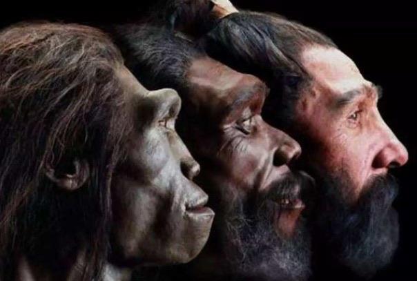 探秘阿尔迪是什么人种,第一个人类是谁生的 3