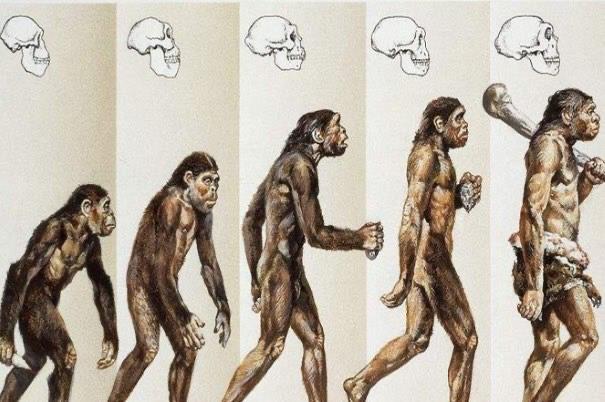 探秘阿尔迪是什么人种,第一个人类是谁生的 2