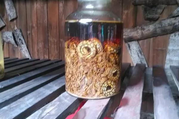 探秘苗族蛊毒是什么意思,苗族蛊毒发源史 3