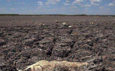 ​古代饥荒时，河里的鱼虾能捞来吃吗？