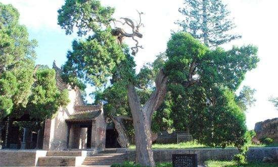 仓颉庙历史悠久,庙内有一根长16米的“蒿草”杆,堪称一大奇观