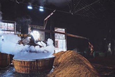 ​喝蜂子酒与什么忌讳？蜂子酒喝了有什么好处