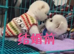 gif:这是我见过最牛逼的试衣间,没有之一,优衣库也不过如此!