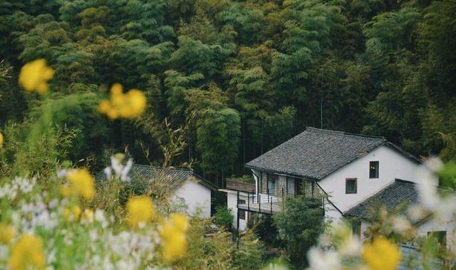 最近超级火爆的民宿综艺,那些民宿都在哪里?