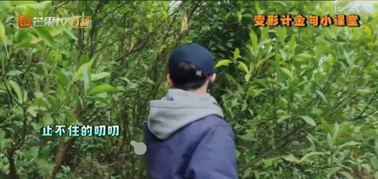 笑喷!《变形计》搞笑金句盘点,谁才是最强段子手