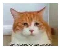 电子竞技暴打天才少年,千万年薪网瘾少年UZI留下的最大遗憾