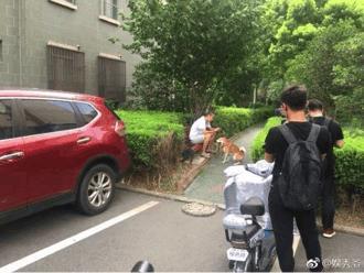 纪凌尘卖惨?王艺回怼网友,阚清子发文“勾引”,谁才是最终赢家