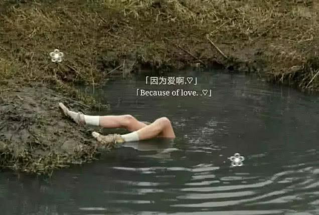 最近火了一种“卑微到尘埃里”的壁纸:别把我删了,行吗?