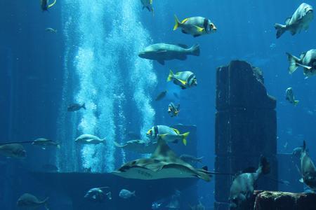 揭秘全球7大最神秘的、最诡异的水下古城,你都知道吗?