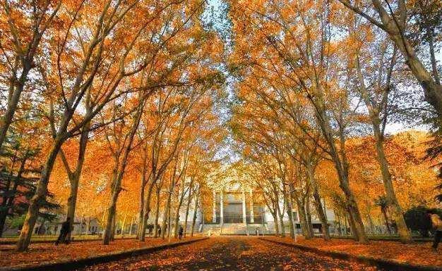 我国最尴尬211院校,虽已入选“双一流”,却总被吐槽实力太差