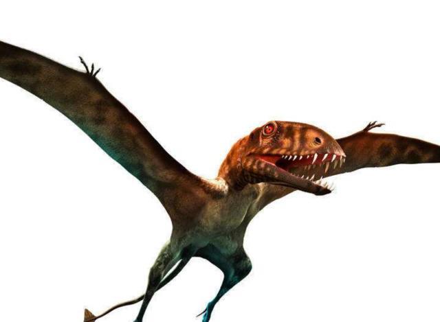 恐龙最强战力排行:剑龙垫底,梁龙第三,第一毫无悬念!!