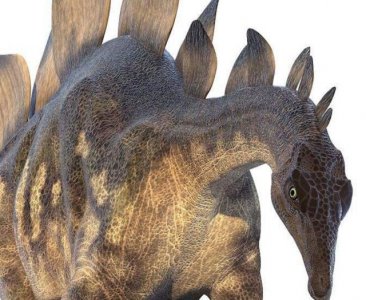 ​恐龙最强战力排行：剑龙垫底，梁龙第三，第一毫无悬念！！