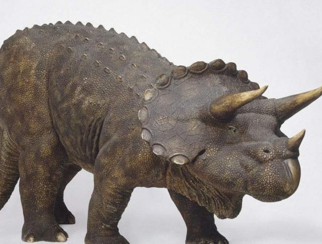 恐龙最强战力排行:剑龙垫底,梁龙第三,第一毫无悬念!!