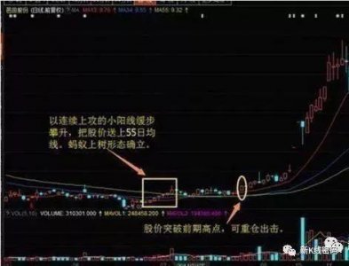 ​蚂蚁上树的操作条件