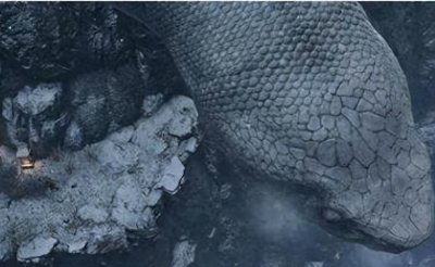 ​51年剿灭大山里国民党，山洞中炸死一条蛇王，头部直径就超过一米