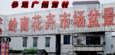 ​华南最大的鲜花花卉批发集散地-广东岭南花卉批发市场