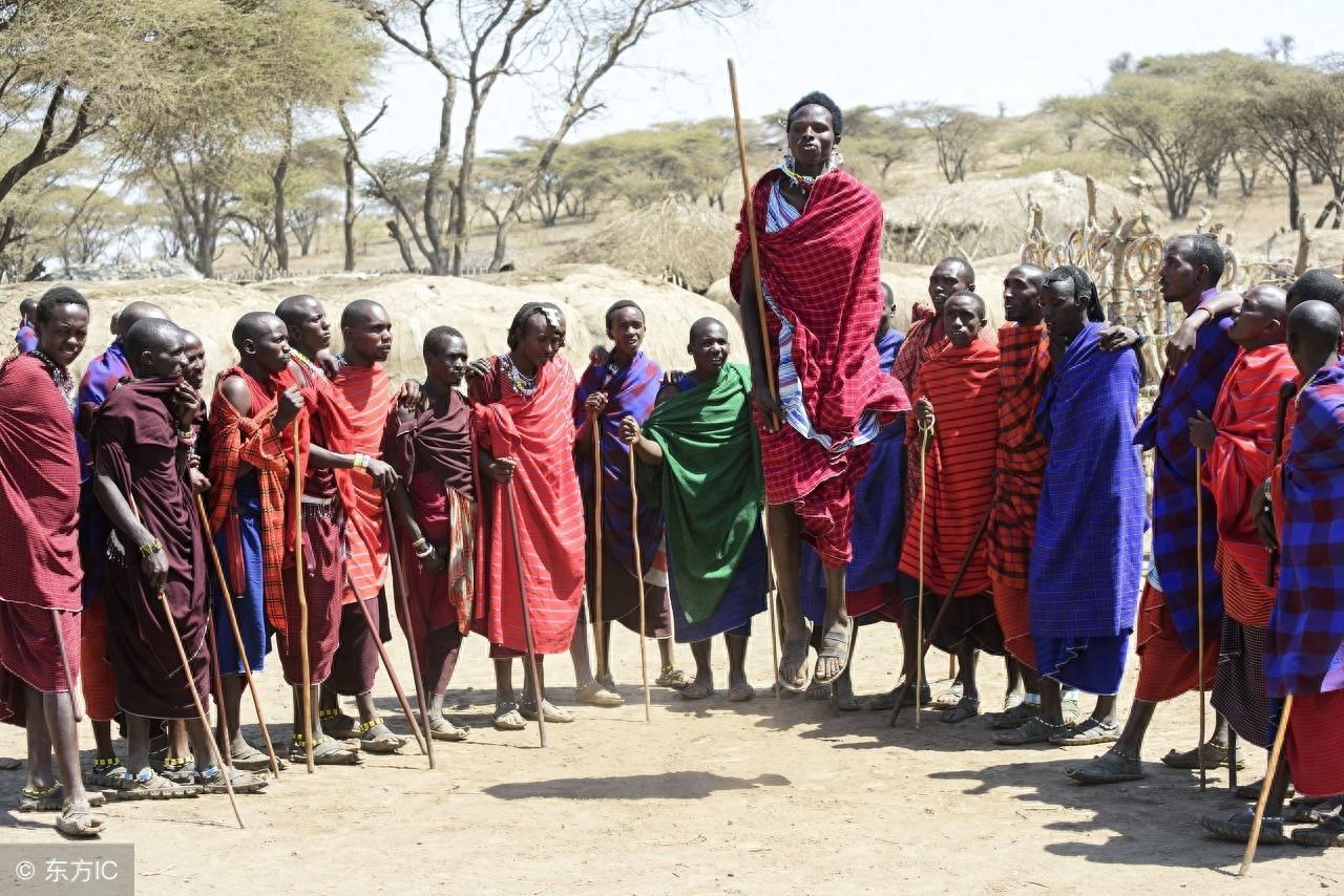 世界上最神秘的马赛人,喝牛血吃牛肉住牛粪房屋,实行一夫多妻制