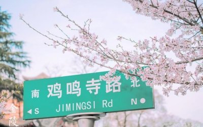 ​这里有南京最美的樱花大道，还有《新白娘子传奇》的雷峰塔