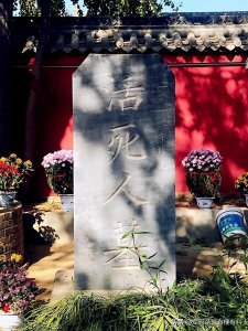 ​《神雕侠侣》中的小龙女真名是什么？