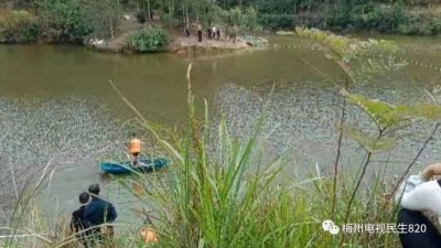 ​悲剧：14岁男孩清早划船喂鹅失足落水溺亡