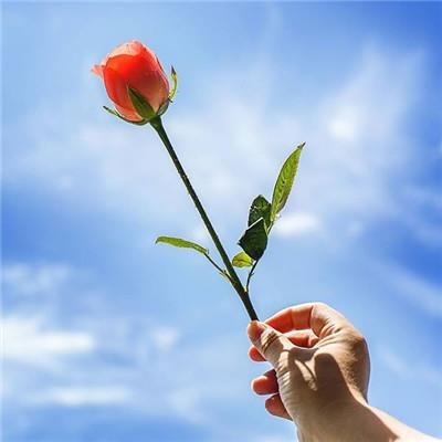 保佑好运的吉利微信头像