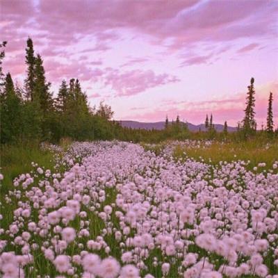 保佑好运的吉利微信头像