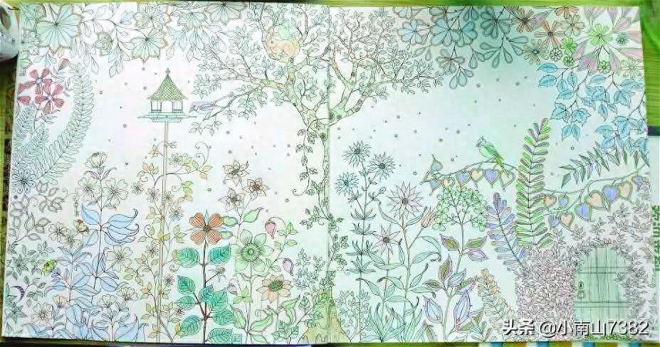 成人减压涂色本《秘密花园》